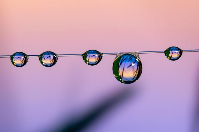 Eclectic Home Accents